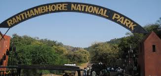 Ranthambhore Naitional Park