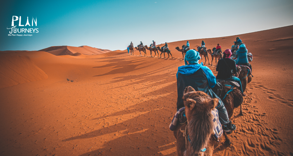 Camel Trek in Sahara Desert