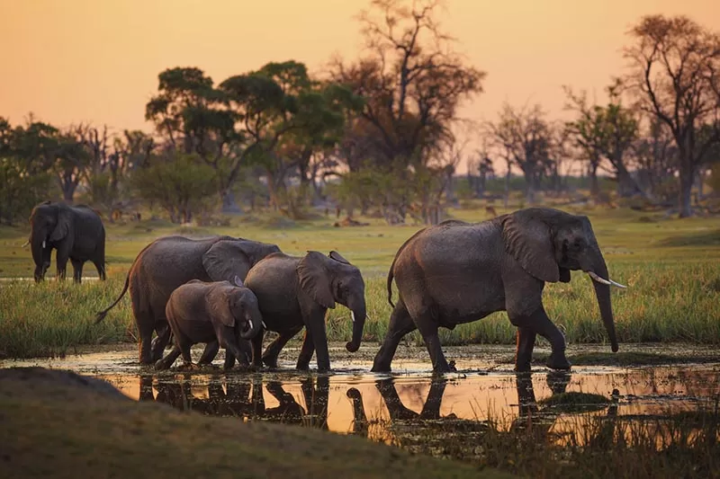  Botswana