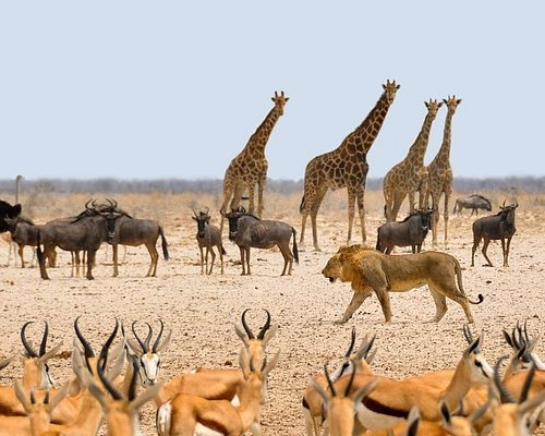 Namibia